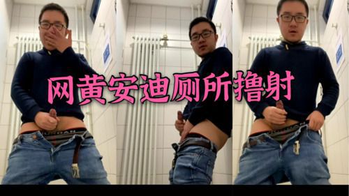 推特网黄安迪厕所撸射