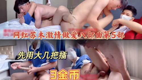 网红苏木激情作爱视频第5部高清