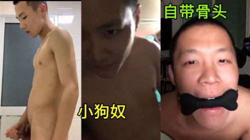 自带骨头的小狗奴