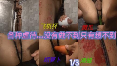 各种虐奴！没有做不到只有想不到《上》