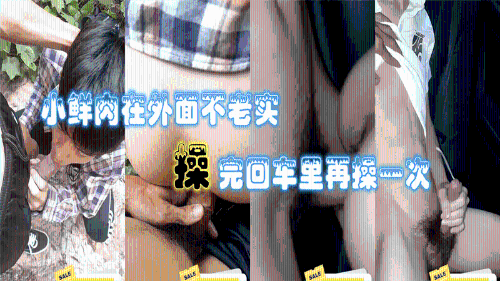 [推荐]小鲜肉在外面不老实，操完回车里再操一次