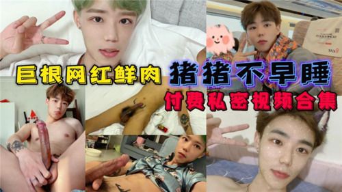 巨根网红鲜肉猪猪不早睡付费私密视频合集