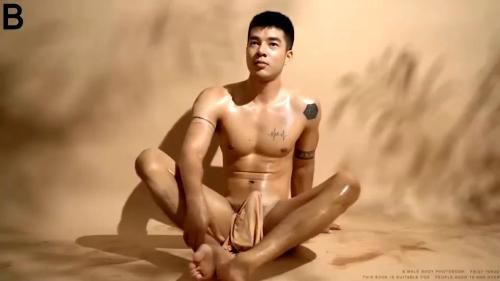 帅哥写真真大鸟