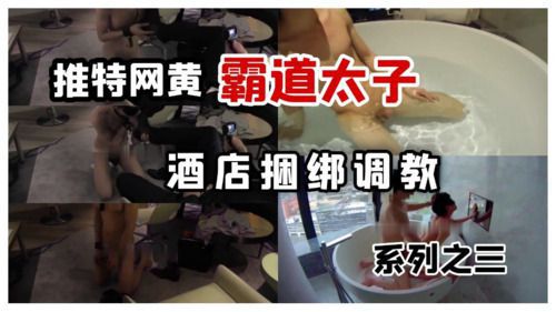 推特网黄霸道太子酒店调教系列之三