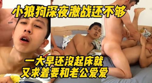 小狼狗深夜激战还不够一大早还没起床就又求着要和老公爱爱