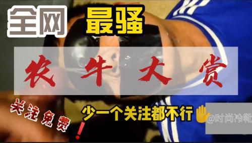 [农牛]全网最骚，农牛大赏，关注推荐