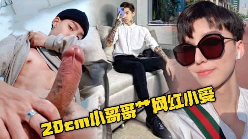 20cm小哥哥艹网红小受