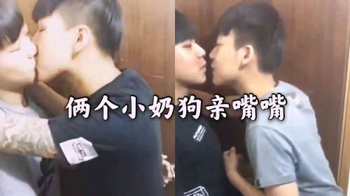 俩个小奶狗亲嘴嘴
