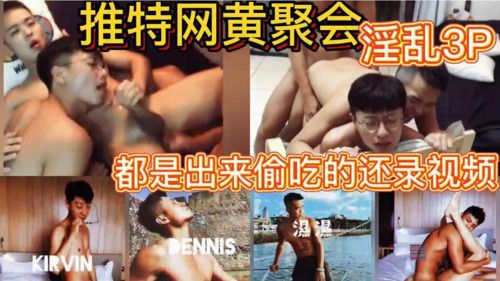 推特网黄聚会 淫乱3P 都是出来偷吃的还录视频
