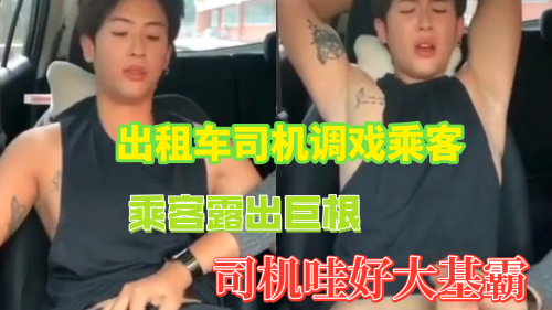 出租车司机调戏乘客