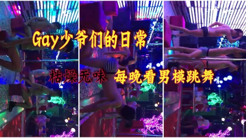 gay少爷们的日常，这是多么枯燥无味啊！每晚看男模跳舞