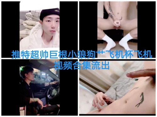 推特超帅巨根小狼狗艹飞机杯飞机视频合集流出