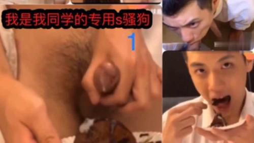 我是我同学的专用骚狗1