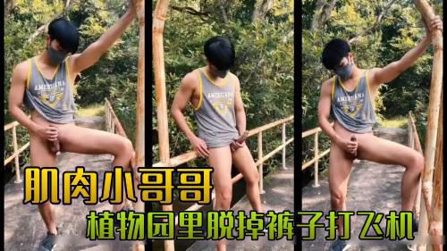 肌肉小狗狗 植物园里脱掉裤子打飞机