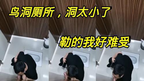 鸟洞厕所，洞太小了勒的我好难受……