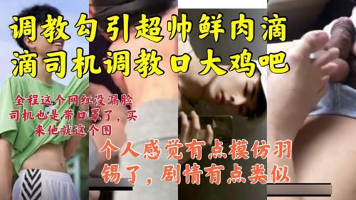 推特网红灰裤子勾引超帅鲜肉司机，大粗吊