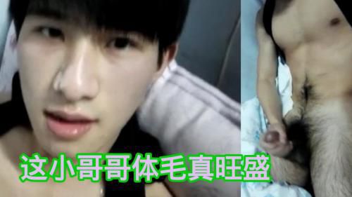 这小哥哥体毛真旺盛，被他操肯定很爽