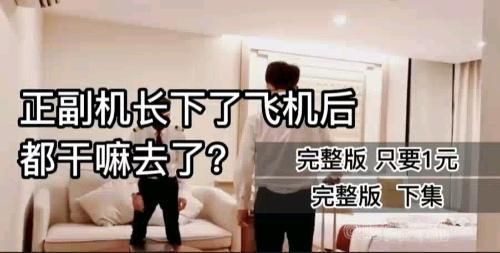 [酒店系列]之正副机长下了飞机后都干嘛去了？下集 只要1元