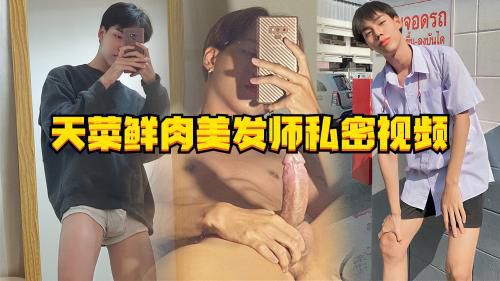 天菜鲜肉美发师私密视频
