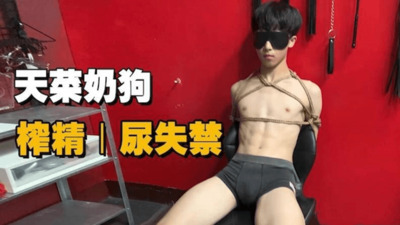 视频虐玩榨精天菜鲜肉奶狗，直男被虐到潮喷尿失禁